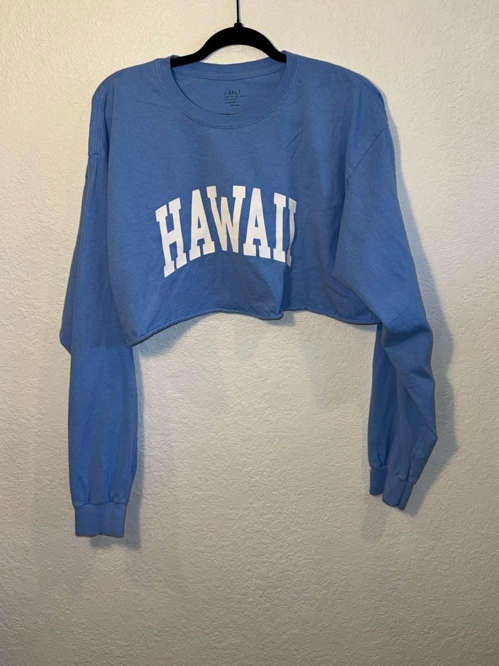 John Galt Brandy Melville HAWAII Oversized Cropped Long Sleeve Tee One Size